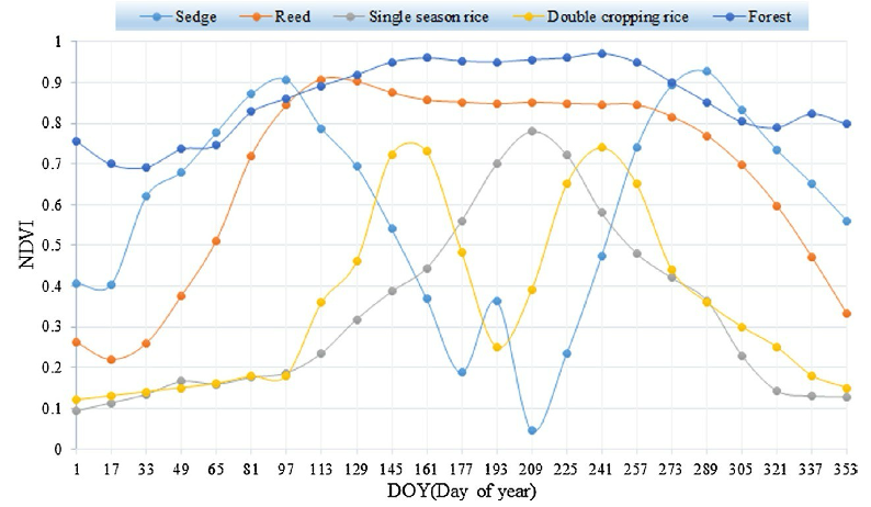 NDVI Plots